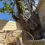 Tatil Evi New 'i Elea' With Courtyard