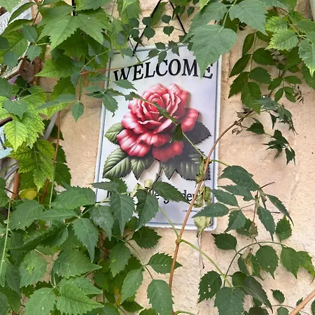 New 'i Elea' With Courtyard